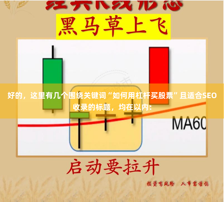 好的，这里有几个围绕关键词“如何用杠杆买股票”且适合SEO收录的标题，均在以内：